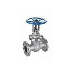 Cast do ne Stainless Steel Flange Gate Valve
